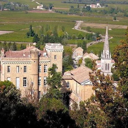 Chateau De 4* Rochegude (Drome)